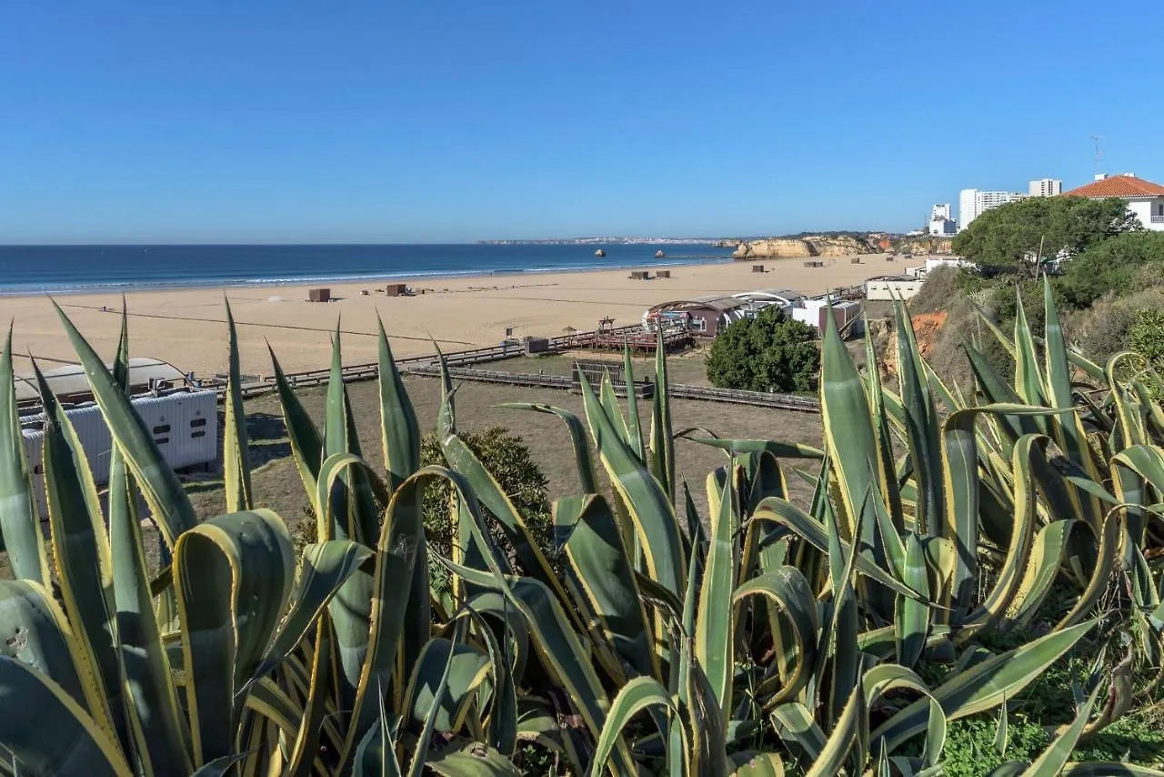 Apartment Flh Praia Da Rocha Spacious Flat Portimao Portugal